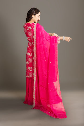 Hot Pink Embroidered Sharara Set