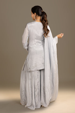 Ethereal Ice Blue Embroidered Organza Ensemble