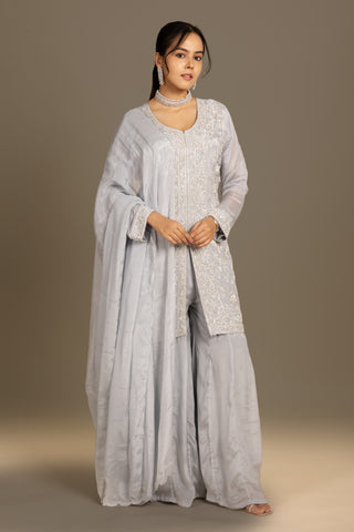 Ethereal Ice Blue Embroidered Organza Ensemble