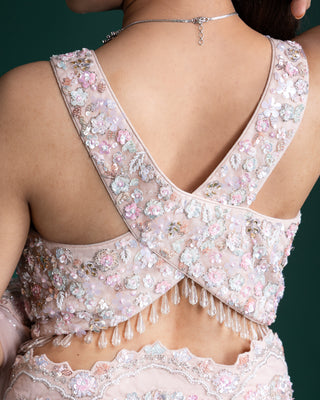 Soft Blush Pink Net Saree