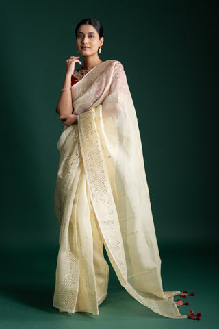 Classic Champagne Gold Saree