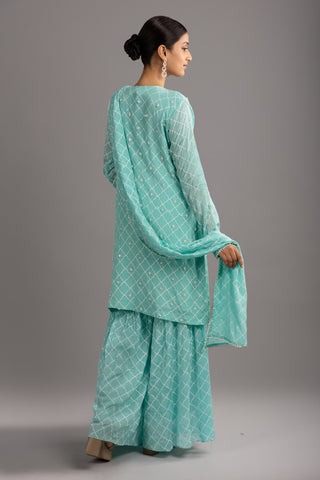 Aqua Blue Sharara Set