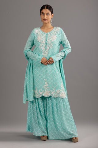 Aqua Blue Sharara Set